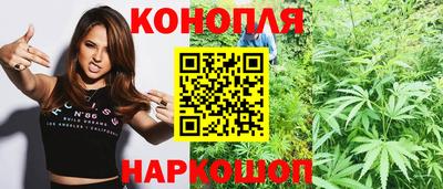 гидропоника Канаш