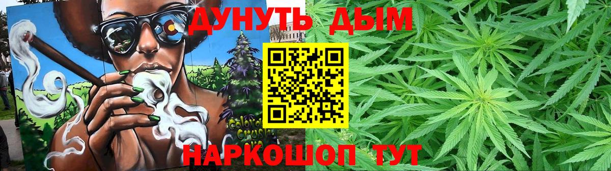 Бошки Шишки планчик Ливны